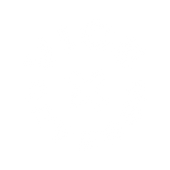 Vice Reversa MicroMasks